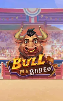 Bull in a Rodeo